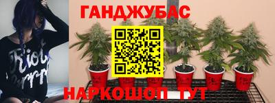 хмурый Ирбит
